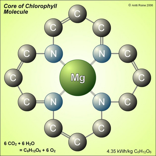 Chlorophyll_Molecule.jpg